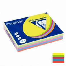 TR Papīrs Trophee asorti/intens.A4/80g/500l