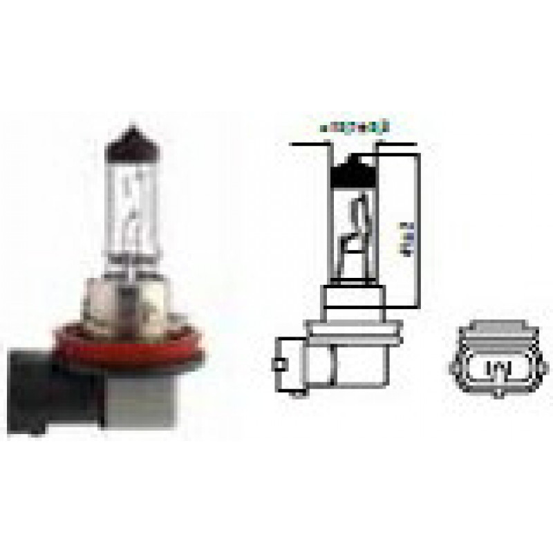 Bosma Autolampa H11 12V 55W