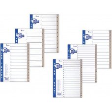 Sadalītājs dokumentiem FORPUS 1-20 polipropilēna MAXI 297x245 mm