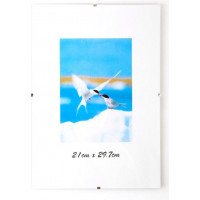 Foto rāmis, 30x40 cm, bez rāmja