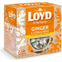 Augļu tēja LOYD Ginger&Citrus 20x2g ( Iepak. x 2 )