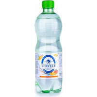 Bezalkoholisks dzēriens TĒRVETE ar mango, gāzēts, 0.5l ( Gab. x 12 )