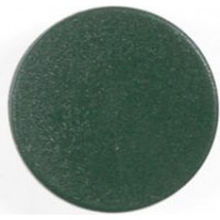 Tāfeles magnēti BI-OFFICE 30 mm, 10 gab., zaļā krāsā