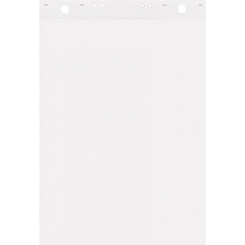 Papīra bloks FOROFIS 600x850 mm 50lp.