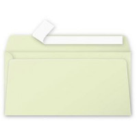 Aploksne E65 110x220 gaiši zaļa krāsa