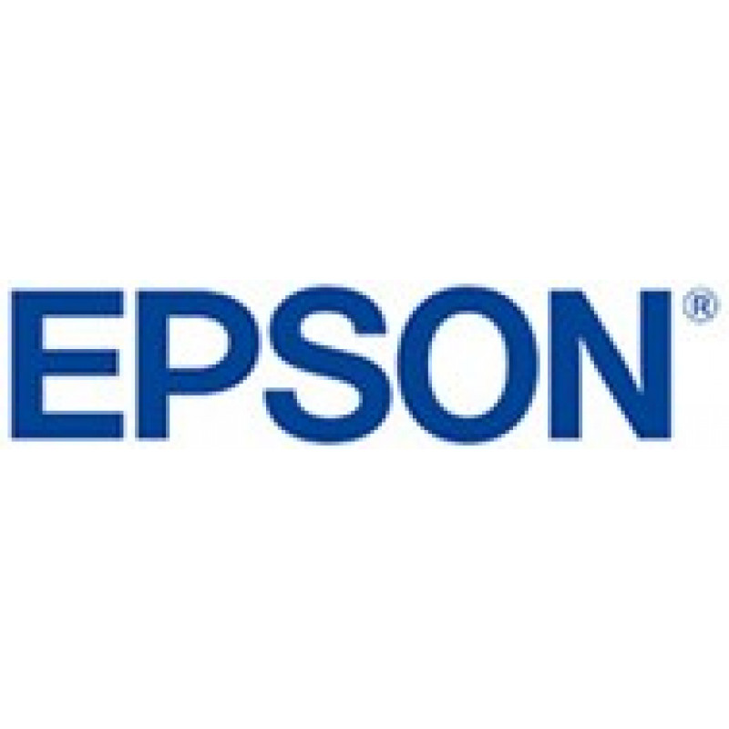 Epson Ink Black (C13T887100)